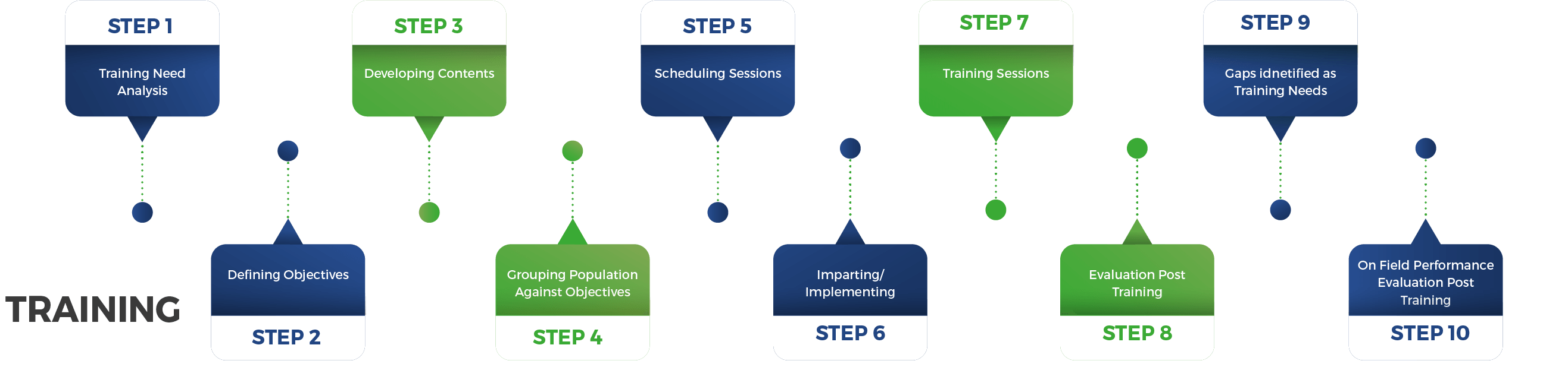 Our Training Process